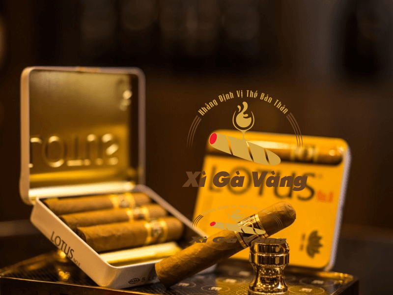 Xì Gà Vàng - cơ sở cung cấp xì gà tốt, chính hãng